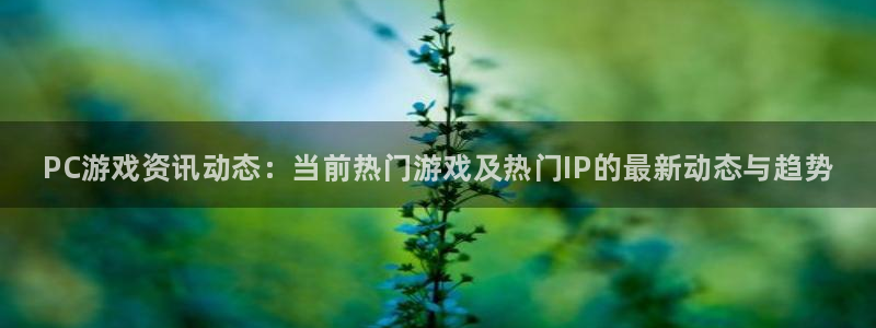 长征娱乐线路测试：PC游戏资讯动态：当前热门游戏及热门IP的