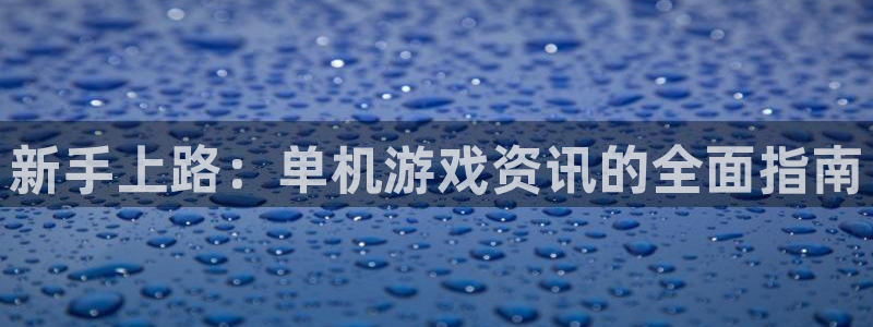 长征娱乐测速登陆：新手上路：单机游戏资讯的全面指南