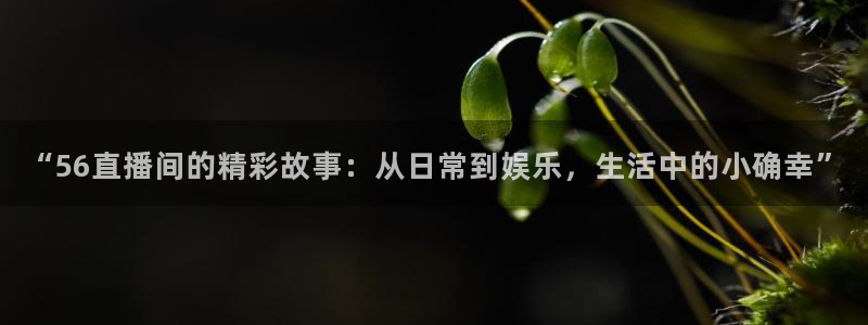直播车足球直播,nba直播吧：“56直播间的精彩故事：从日常到娱乐，生活中的小确幸”
