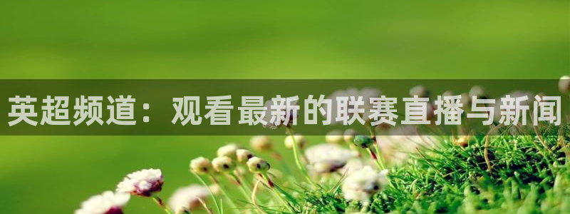 足球直播网直播吧：英超频道：观看最新的联赛直播与新闻