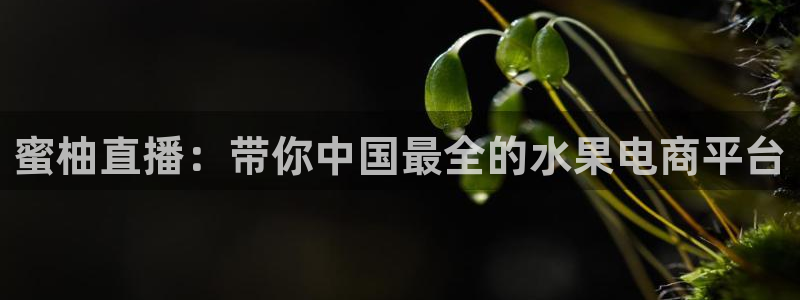 篮球比赛视频直播在线观看直播吧